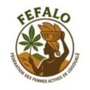 logo fefalo